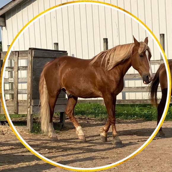 Meet your Posher, Beverly - Picture 1 of 1